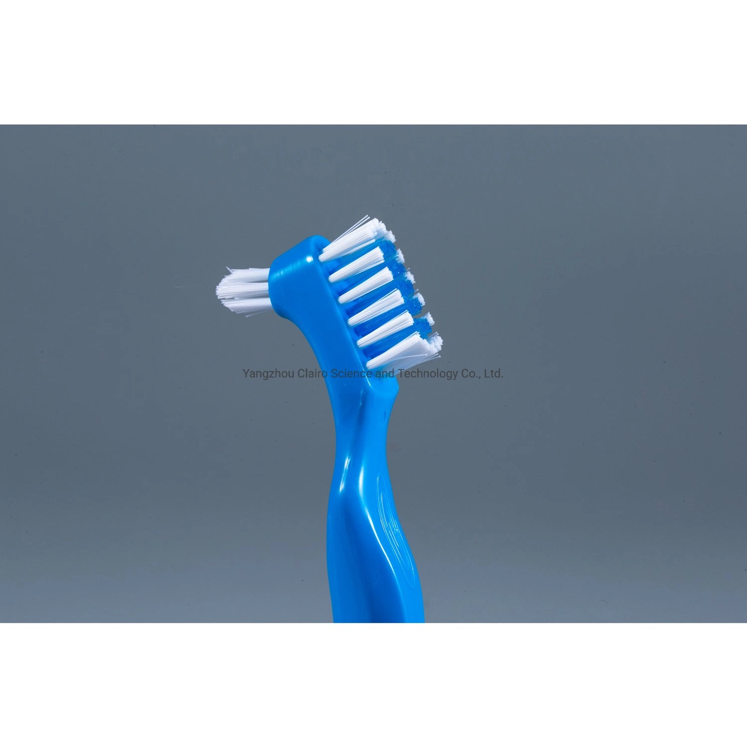 ISO Qualified Supplier for Denture Toothbrush Logo Print Available on Time Delivery