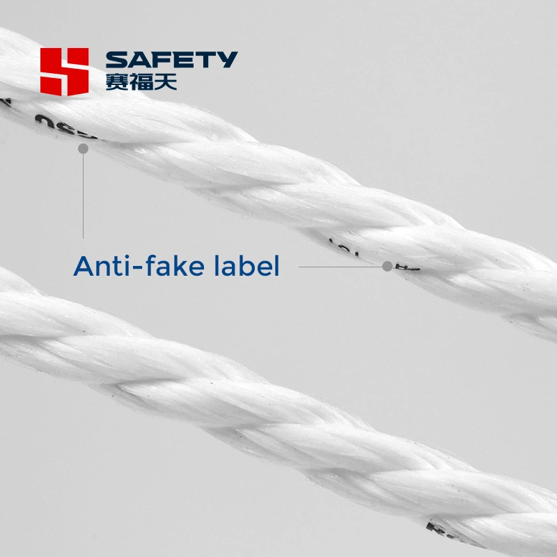 6*19s 6X19s Sfc Steel Wire Rope 6/8/9/10/11/12 for Elevator Governor Cable Cord Factory