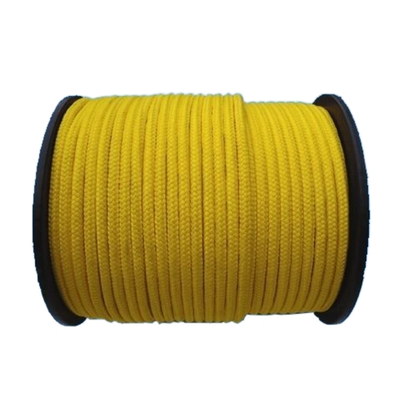 PE/PP/Polyster/Nylon 3/4/6/8/24/32 Double Tressé et Tordu pour la Pêche/Marine/Amarrage/Emballage/Agriculture Corde