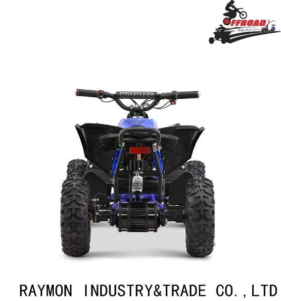 Neue 800W 36V Elektro Kinder Mini ATV Quad Bike