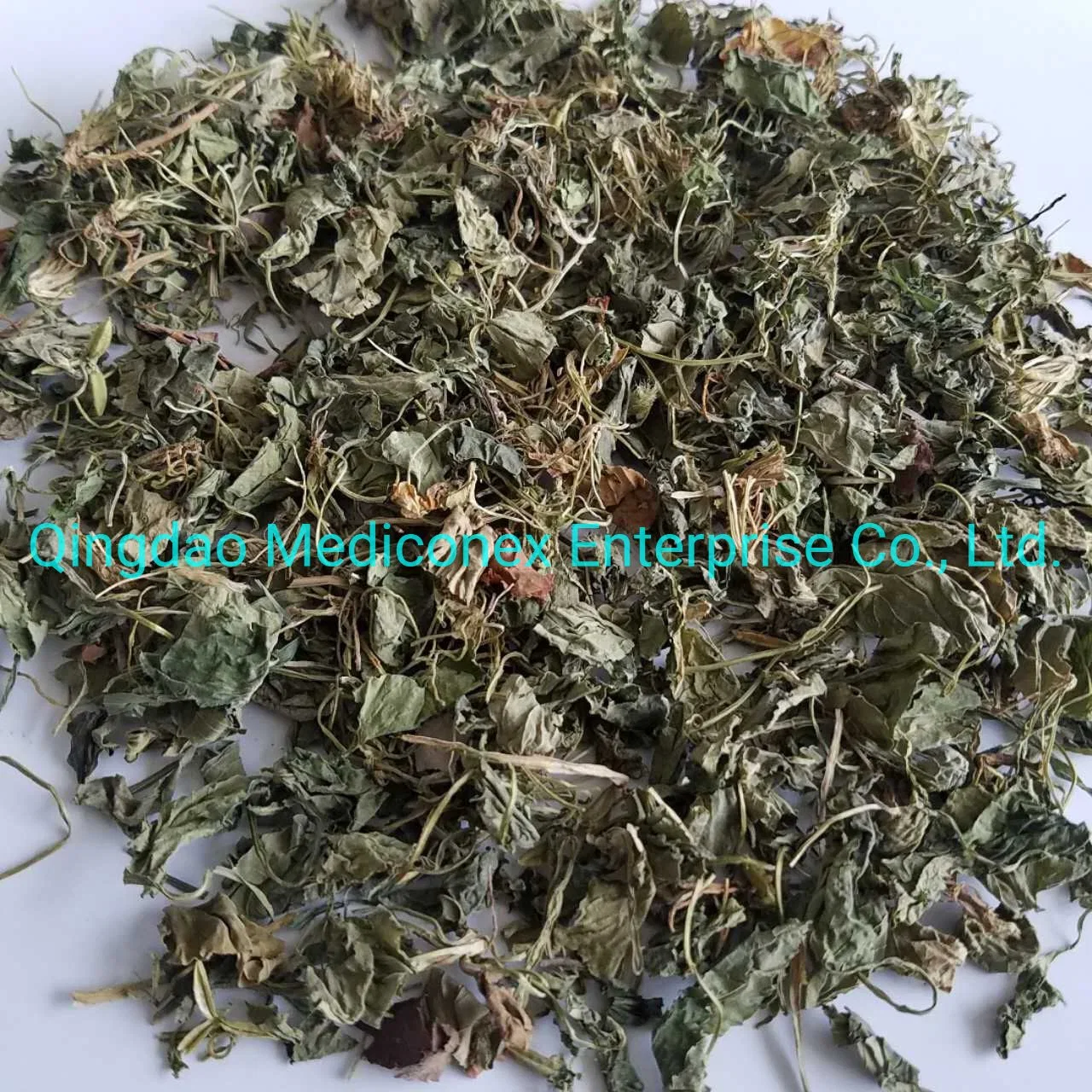 Viola Yedoensis Natural Herb with Root Herbal Medicine Clear Heat Virus Toxic