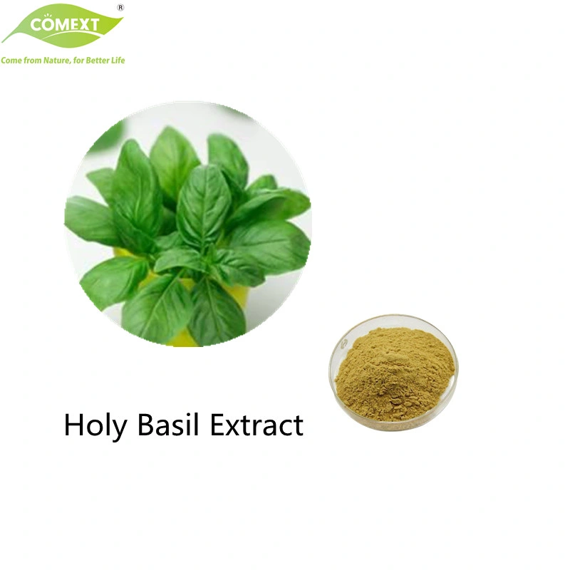 COMEXT Factory 100% Natural Basil Root Extract 4: 1; 10: 1; 20: 1 10% танины для применения в медицине