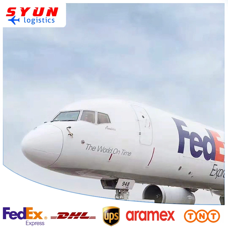 Logística rápida Servicios Express DHL FedEx, UPS de China e India