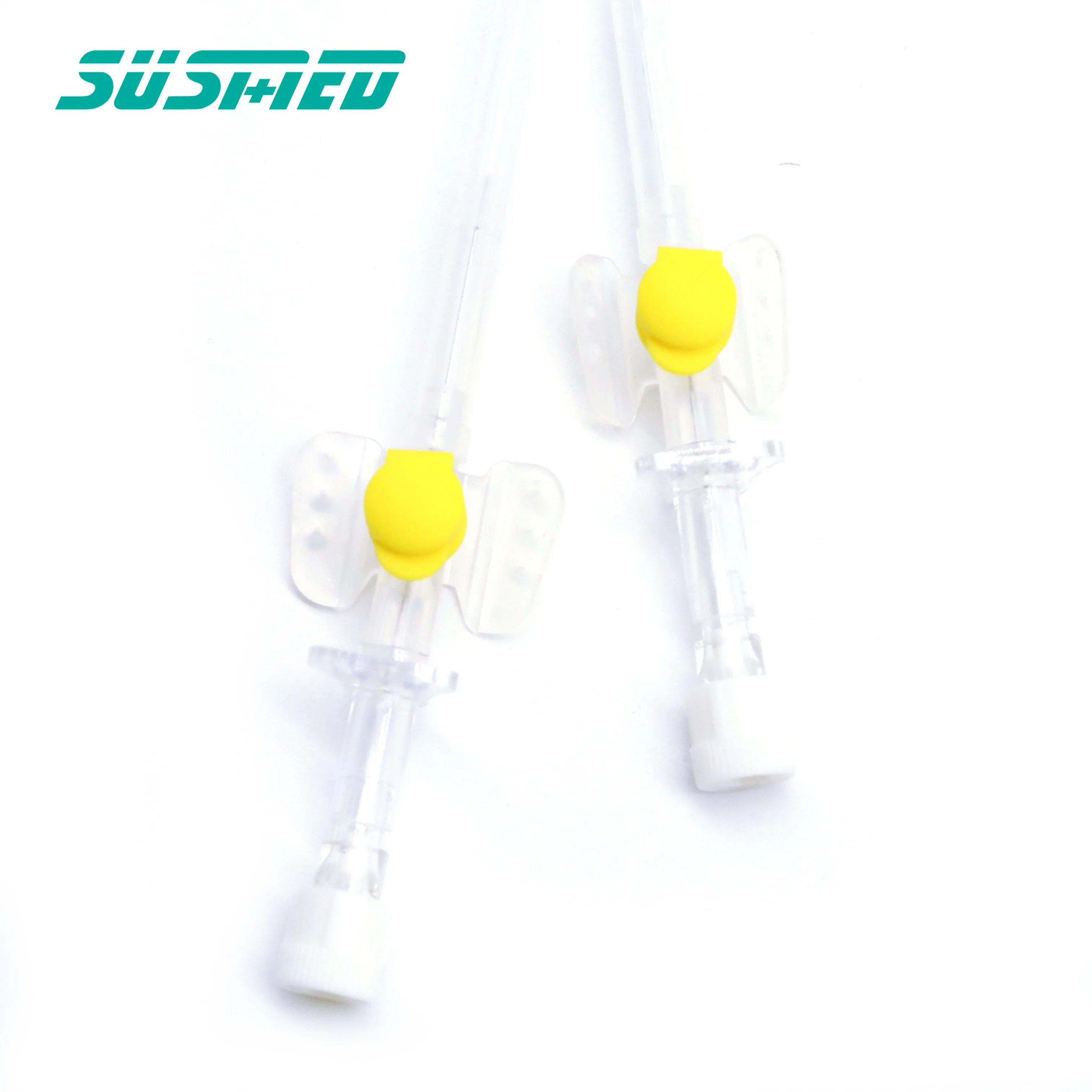 Medical Different Sizes and Color IV Cannula with Injection Port