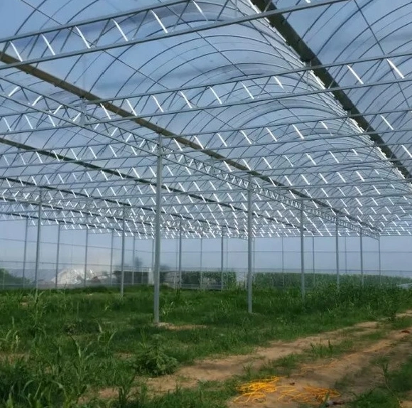 Agriculture Tunnel Tomato Greenhouse Commercial with Hydroponic System