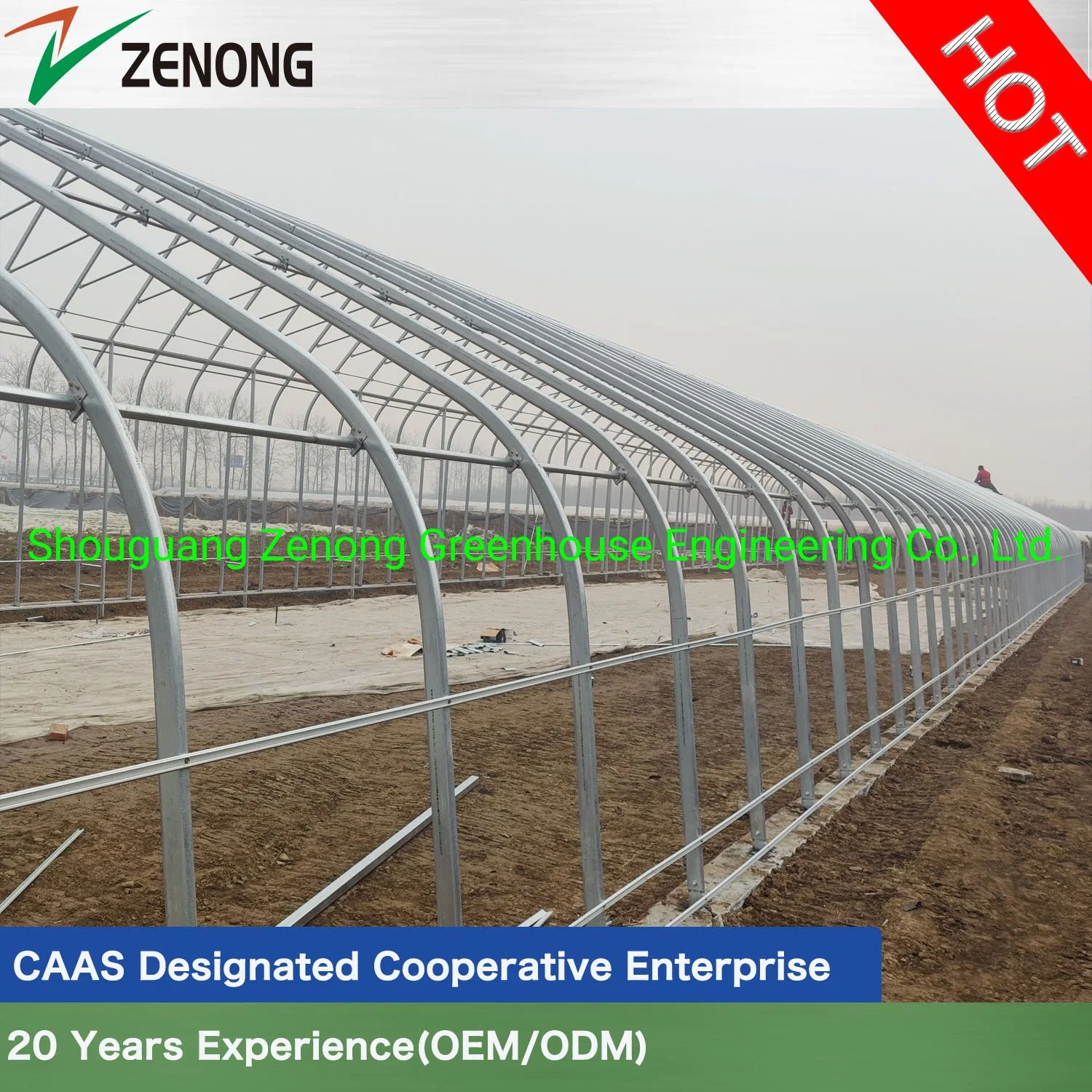 Solar Greenhouse with Intelligent/Shading/Irrigation/Hydroponics/Automatic System for Vegetables/Fruits/Exhibition/Strawberry