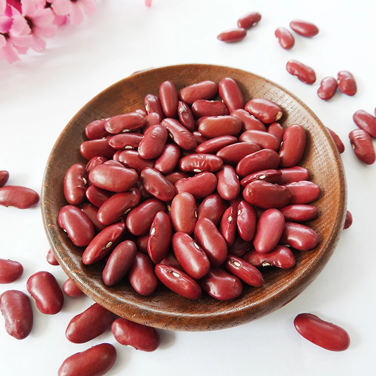 Wholesale/Supplier Dark Red Kidney Beans with Export Red Kidney Beans