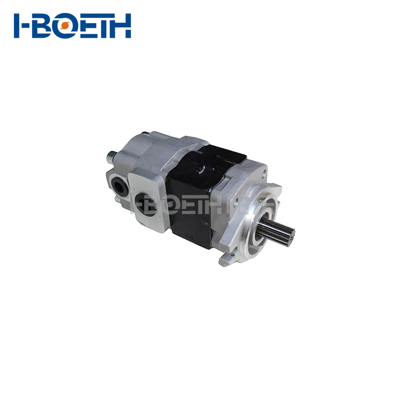 Mitsubishi. Nissan Sgp1a34r813t Sgp1a34D2h9-R479, Sgp1a34D2h9-R813t Hydraulic Pump Forklift Gear Pump