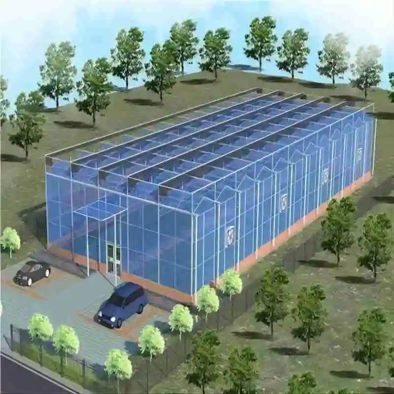 Landwirtschaftliche Gewächshaus Verzinkte Stahlstruktur Glas Abdeckung Hydroponic Gemüse / Tomaten Anbau