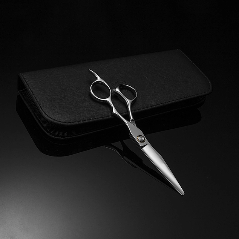 Titanium Coated Hair Scissor / Hair Dressing Scissors Set / Shear Hair Cutting Scissors