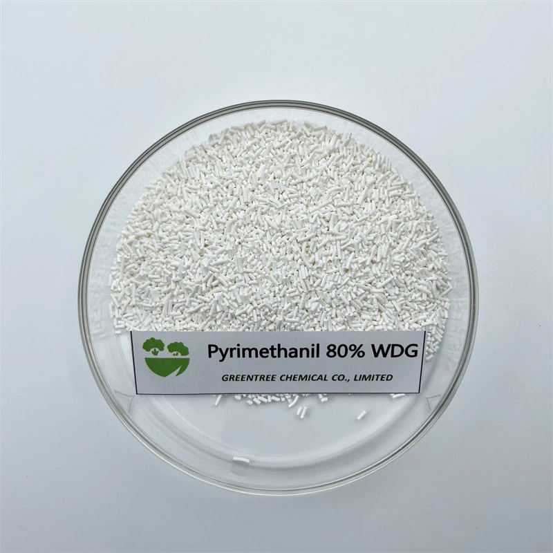 Agricultural Chemicals Fungicide Pyrimethanil 80% Wdg