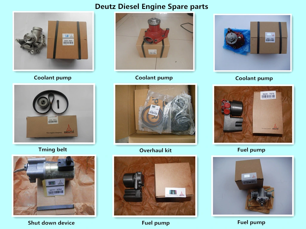 Kraftstoffeinspritzpumpe Bf8m1015/Bf8m1015c Dieselmotorteile 04260555/04260590 für Deutz