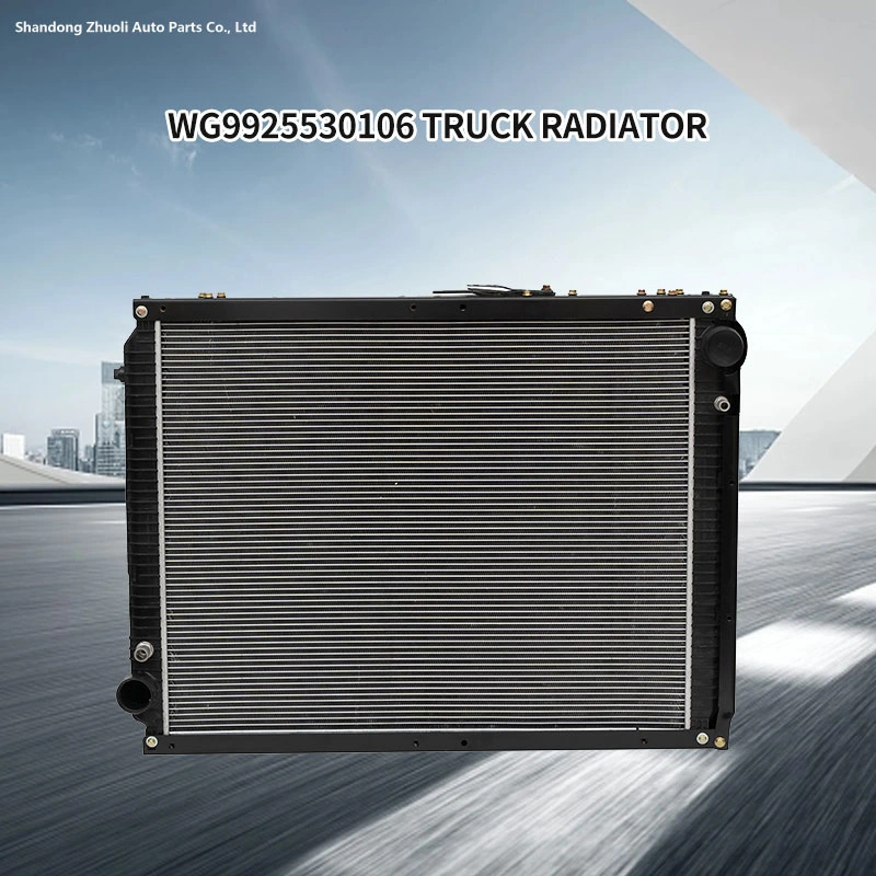 Precio de fábrica tanque de fundición camión radiador y refrigerador intermedio Fabricante Wg9925530106