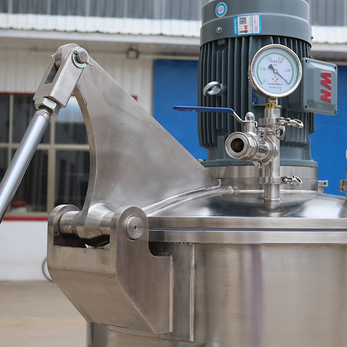 Customized Process Equipment for Mixing