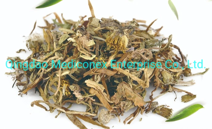 Taraxacum Mongolicum Herb with Root Herb Raw Materials Prepared Traditional Chinese Herbal Medicine Herbal Plant Botanical Herb Clear Heat and Toxic