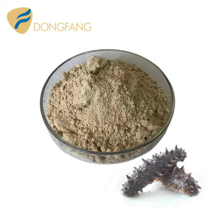 Best Price of Dried Sea Cucumber Protein Powder/ Sea Cucumber Peptide