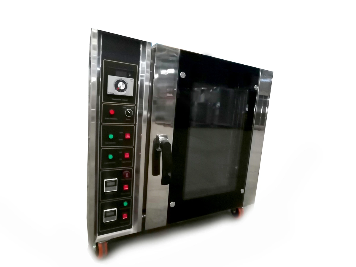 Gas and Electric Dual-Purpose 10 Tray Hot Air Circulation Oven Bread Baking Convection Oven