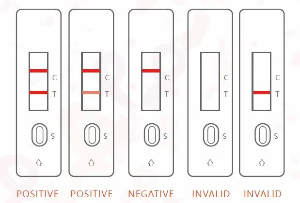 Carton on-Site Drug Testing Singclean Hangzhou, China Self HIV Test Kit