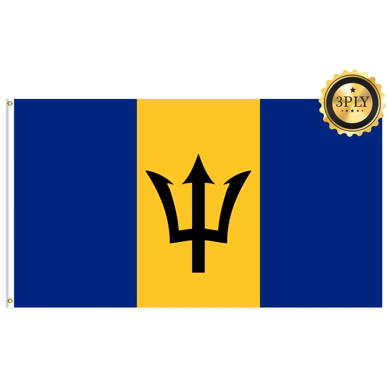 Custom 2*3ft 3*5ft 4*6ft Banner de doble cara de Barbados Country Car Indicador de palo