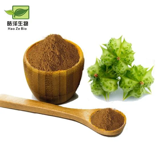 High Quality 40% 60% 90% Saponins Tribulus Terrestris Extract