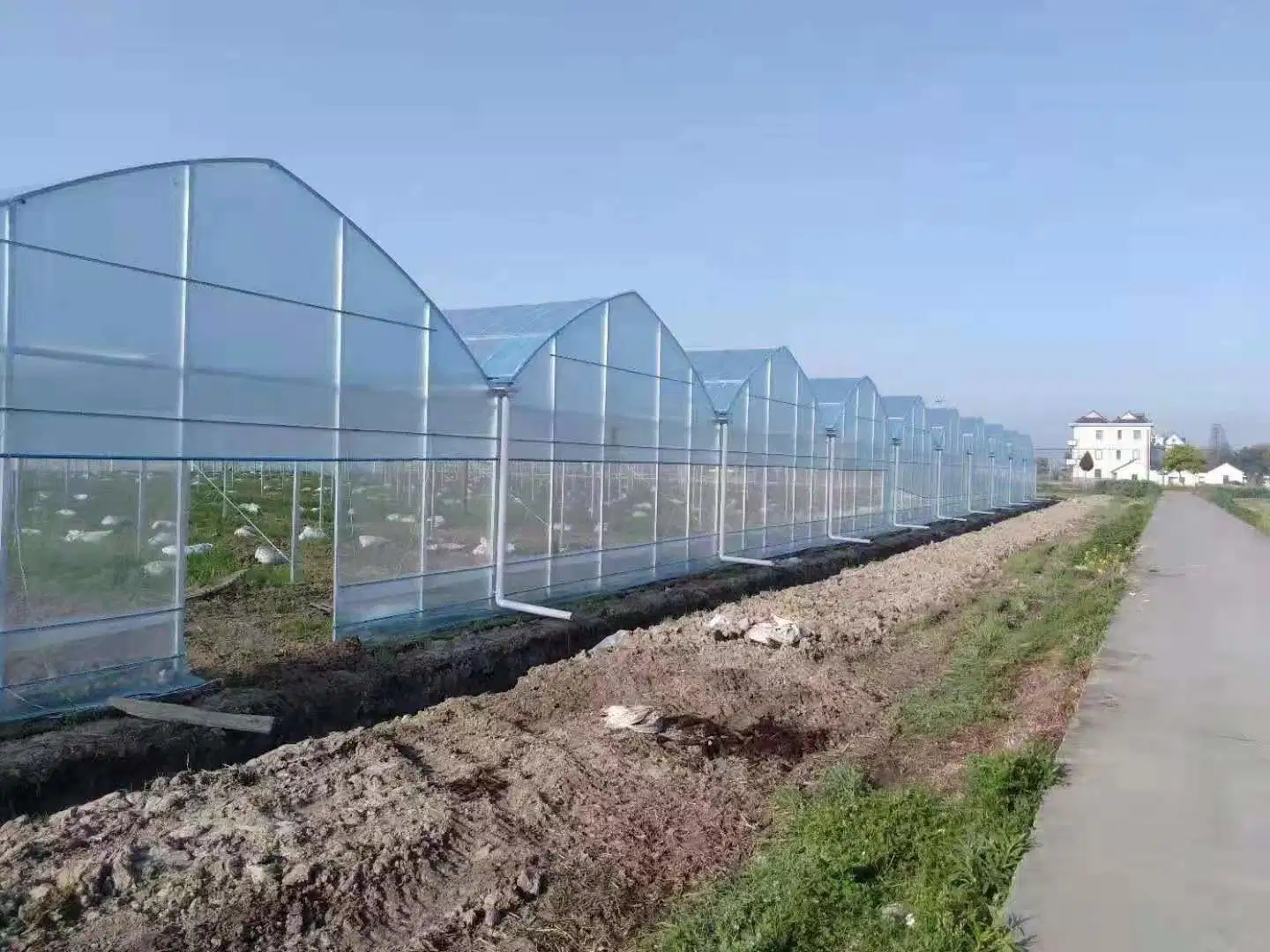 Metal Aluminium Houses Used Small Mini Low Cost Frame Polycarbonate Commercial Garden Greenhouses Green House