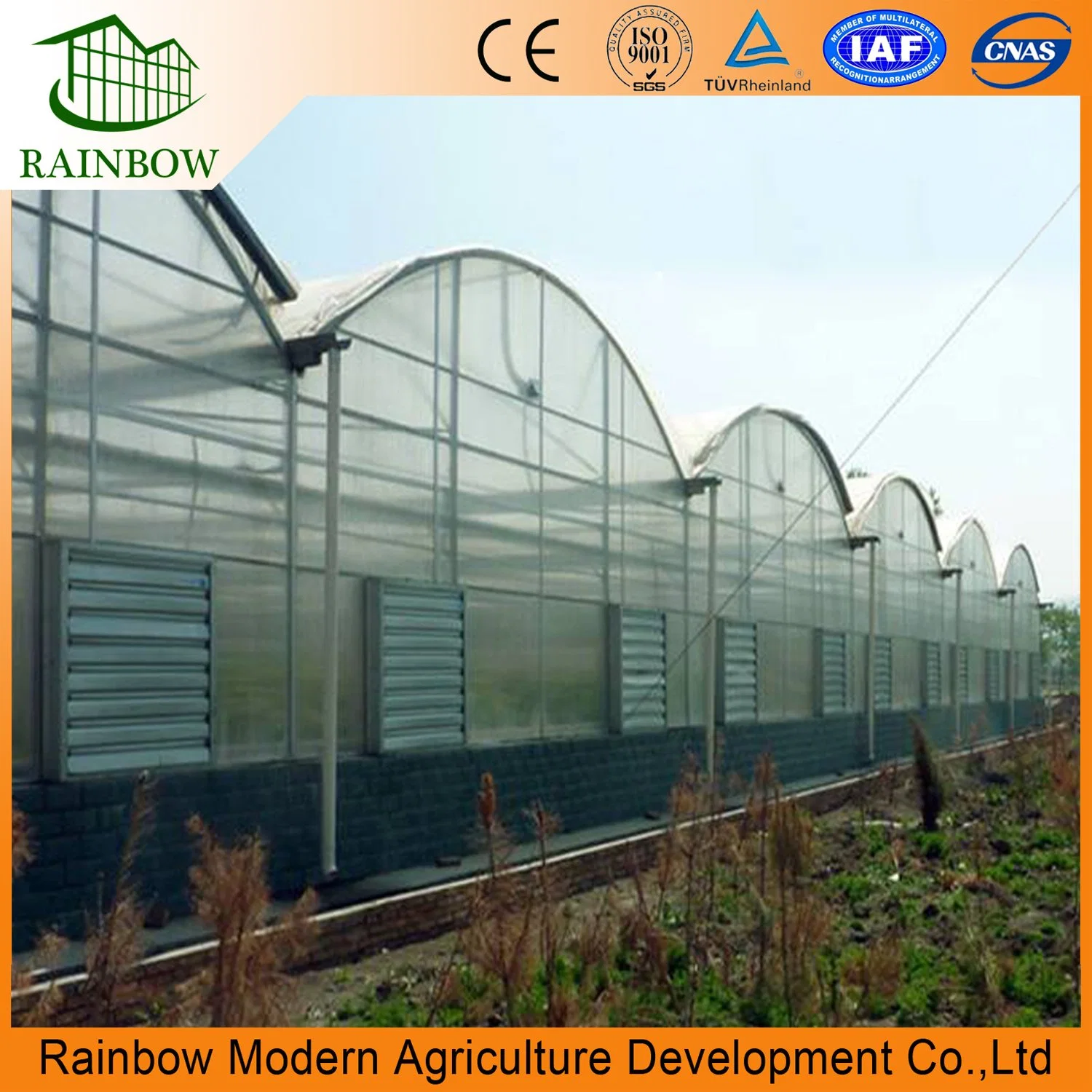 Agriculture Multi Span Plastic Film Greenhouse