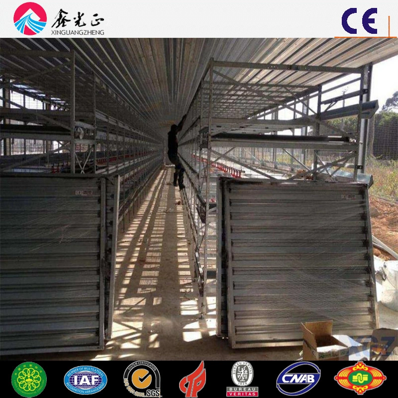 Automatic Cage Rising Broiler Layer Chicken Farm (Q345B/Q235B)