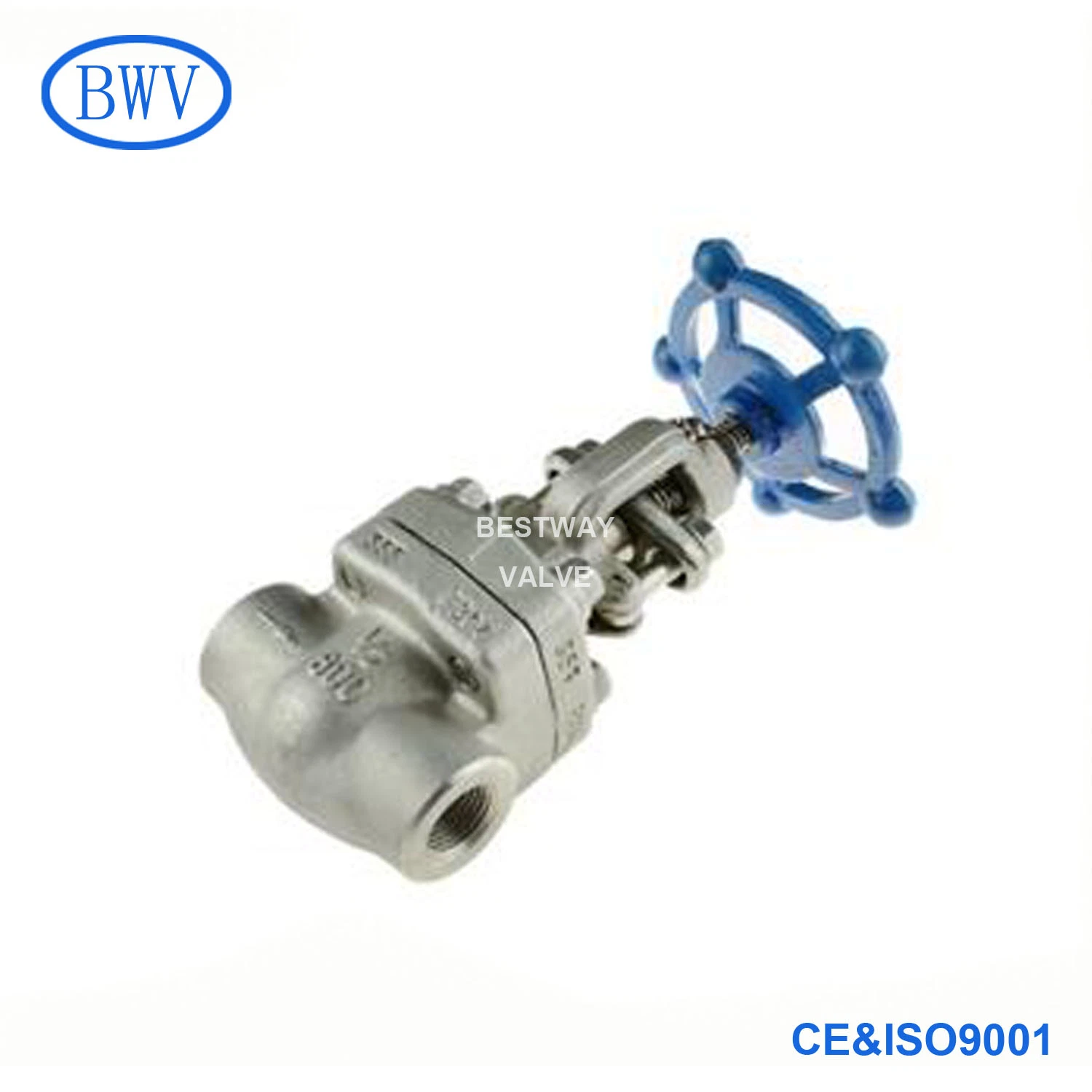 API602 800lb F316L/F304L/F304 NPT Threaded Forged Stainless Steel Globe Valve