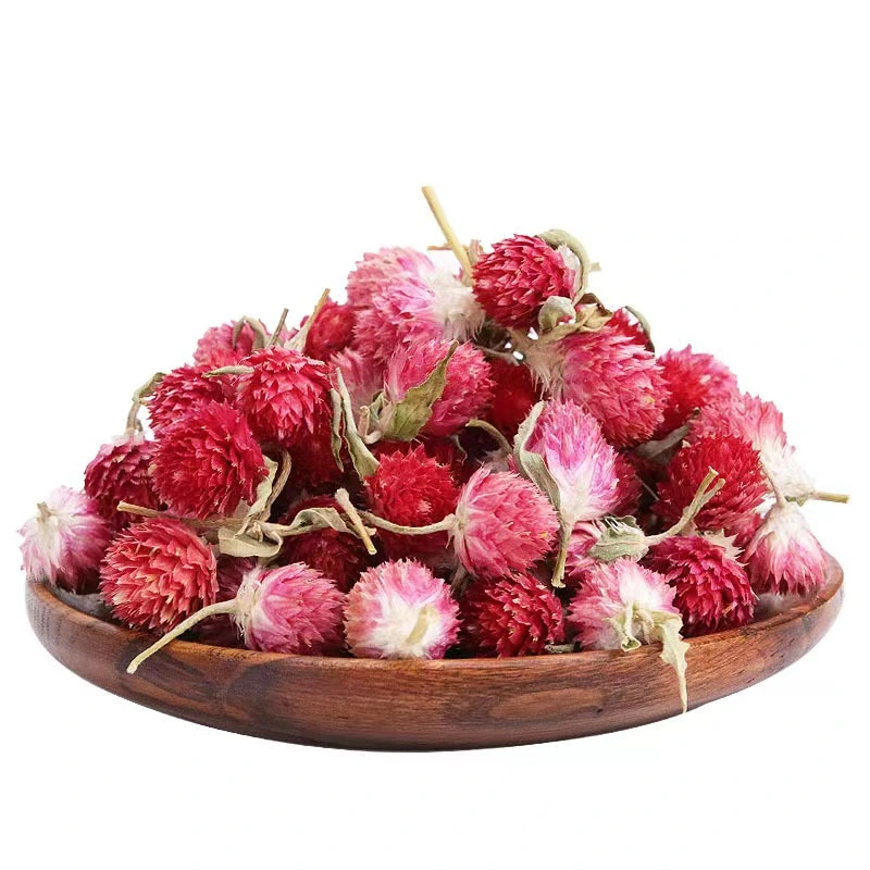 Natural Herb Tea Dried Flowers Red Gomphrena Globosa Globe Amaranth Tea