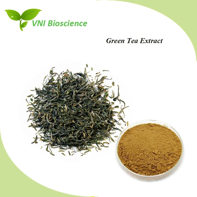 Kosher Halal Certified 100% Natural Polyphenol Green Tea Extract