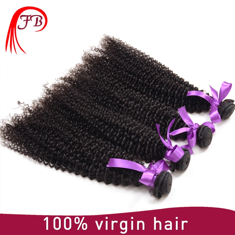 Wholesale Cheap Price Human Hair Weave Brazilian Hair in China Afro Kinky Curly Hair Bundles