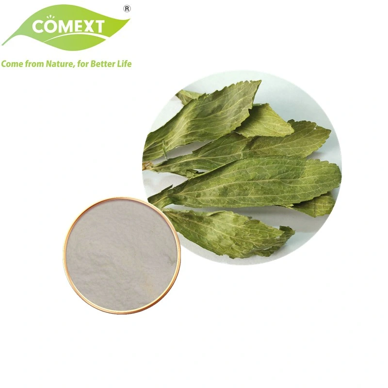Comext ISO Kosher Halal Certified Natural Herb 10: 1 Stevia Extract Powder
