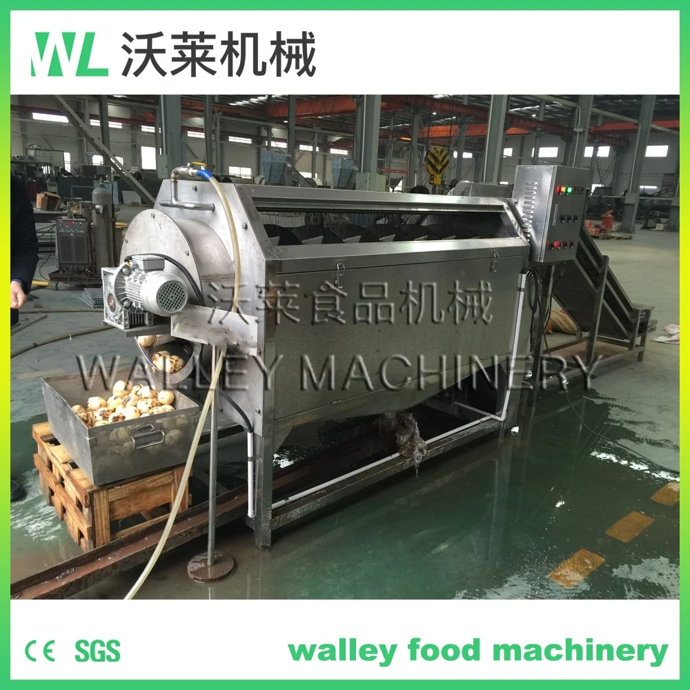 Industrial Potato Taro Continuous Peeling and Washing Machine