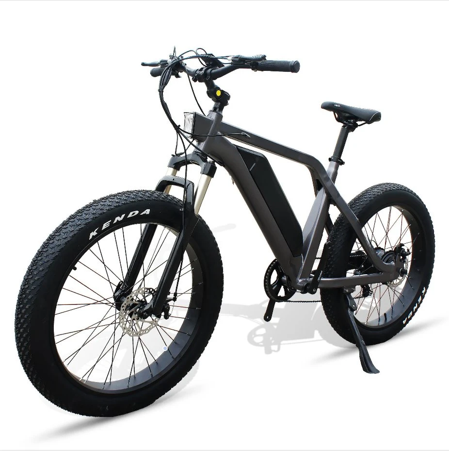 26 * 4.0 Big Power Fat Tire Electric Mountain eBike Electric Bicycle Com CE