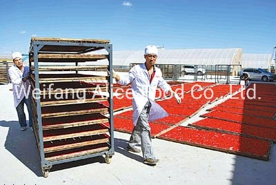 2019 New Crop Goji Berry Wholesale/Supplier Ningxia Goji Drying Gojiberry