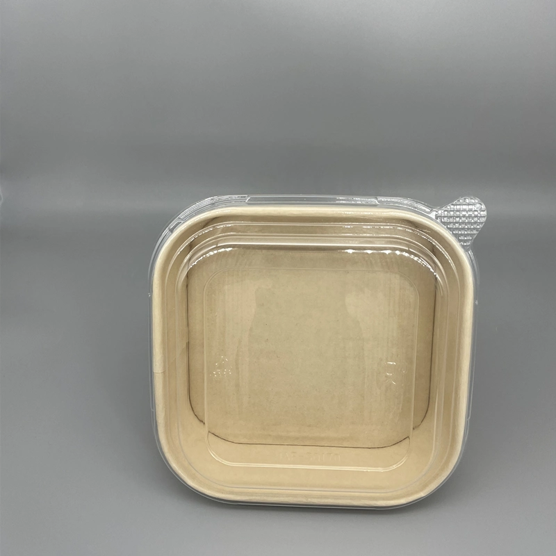 New Arrival PE/Biopbs/PLA Coating Bamboo Fiber Salad Bowl Noodle Paper Box Container