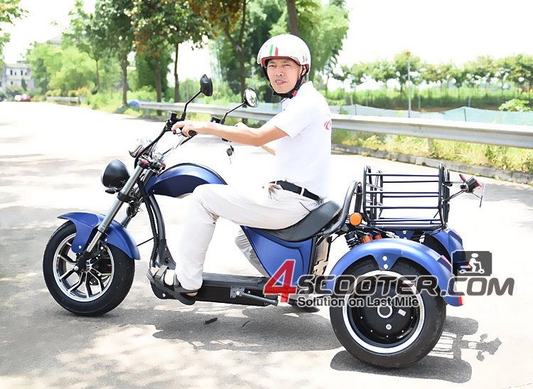 4000W 5000W 6000W EEC Citycoco 3 Three Wheel Electric Motorcycle