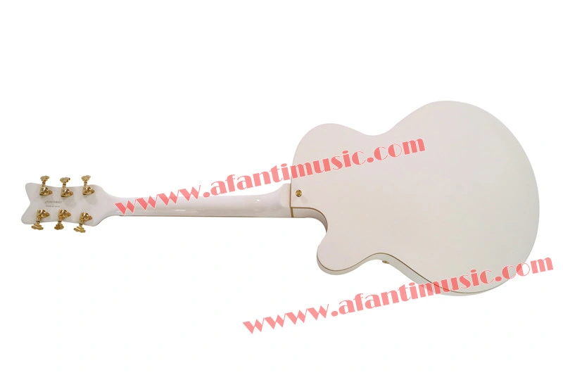 Afanti Music Hollow Body Style Electric Guitar (AGT-344)