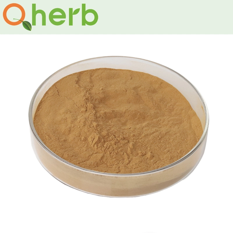 Solidaginis Herba Solidago Decurrens Lour Extract 10: 1