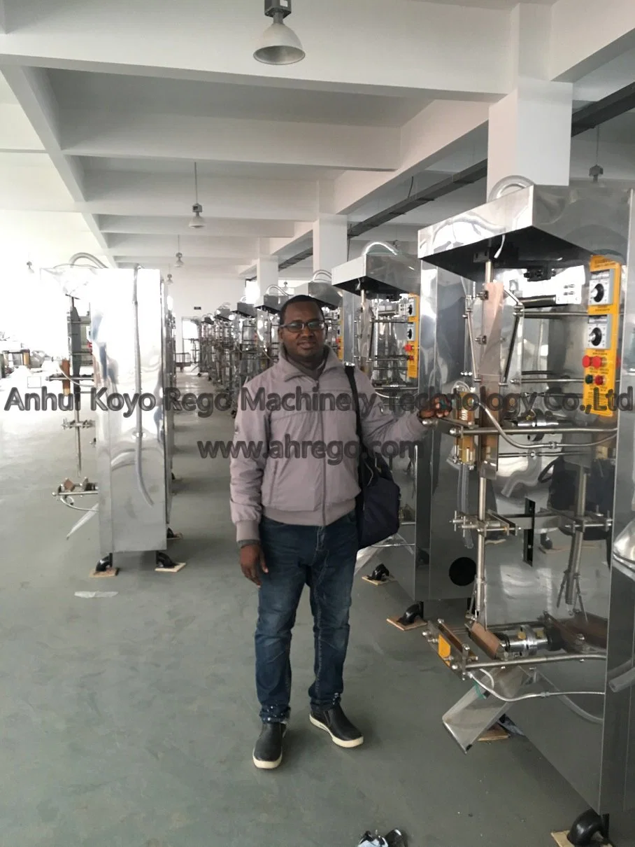 Water Packing Machine, Plastic Bag Water Liquid Packaging Machinery