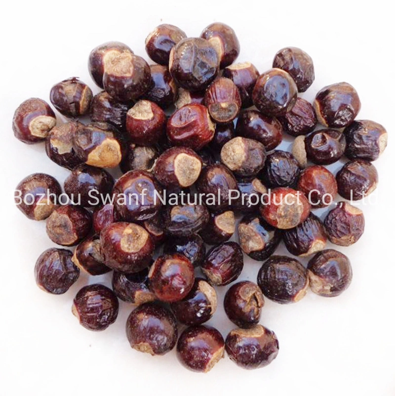 1kg Tropical Fruit Tree New Dimocarpus Longan Seeds for Planting