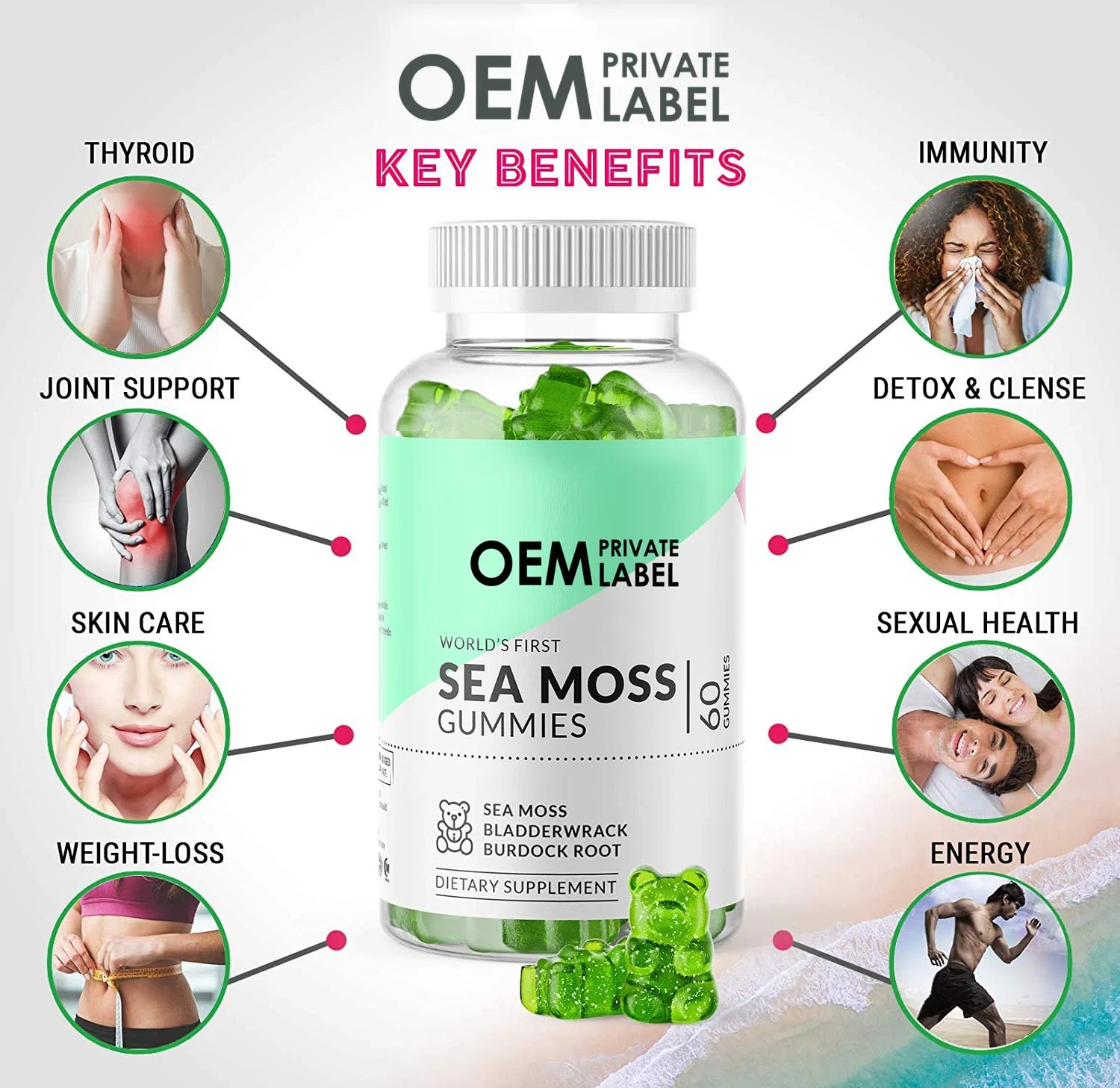 OEM Private Label World's First Sea Moss Gummies Green Bear Shape perda de peso pele cuidados sistema imunitário, pele, Energia e digestão