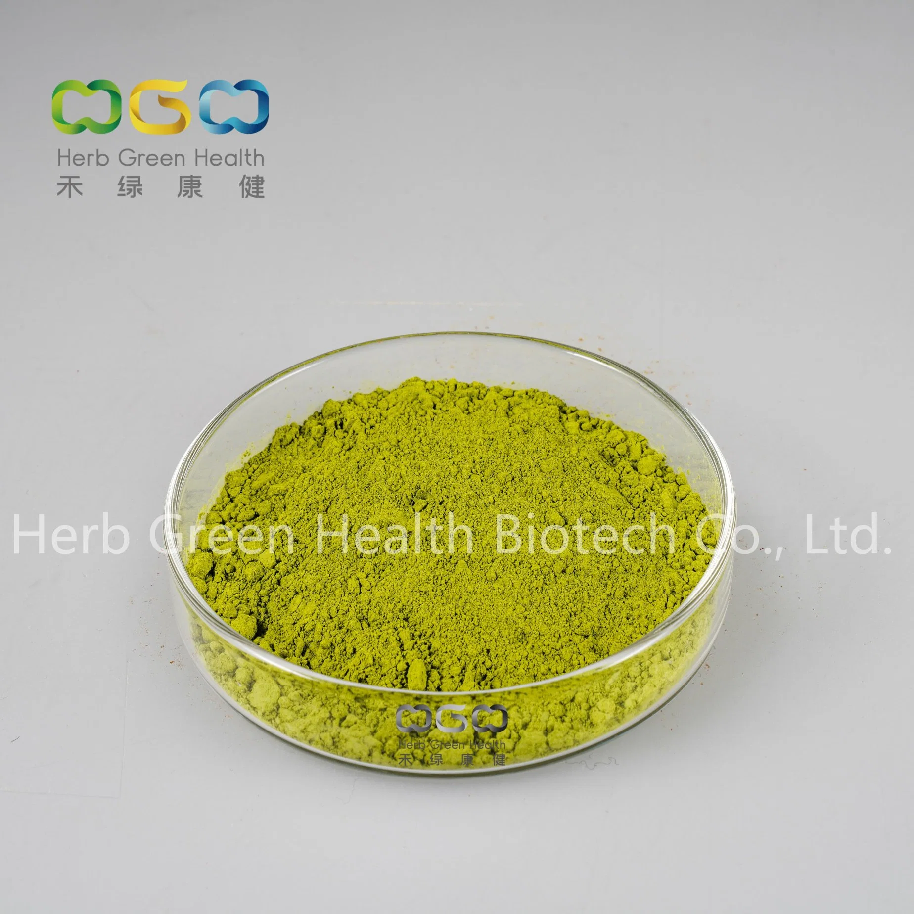 Wholesale/Supplier Herbal Natural Vitamin-Rich Wheatgrass Powder