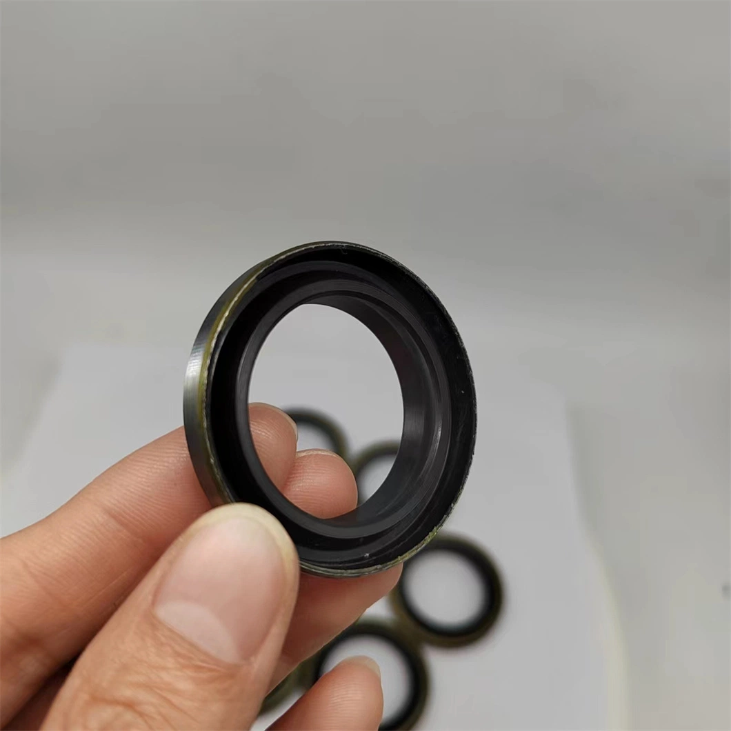 High Pressure Resistant Iron Shell Hydraulic Metal Skeleton Oil Seal Dkb Piston Rod Dust-Proof NBR Sealing Ring