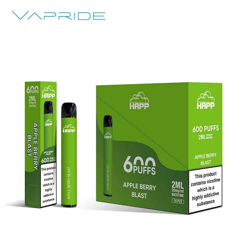 Smoking Device Vaper Vaporizer Electronic Cigarette Disposable Vape 600 Puff