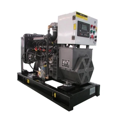 Coal Gas Landfill Gas Municiple Solid Waste Gas Genset with CHP Recovery Heat System