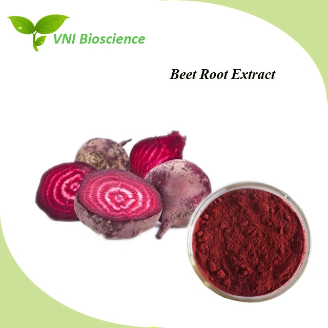 ISO Certified High Pure Beetroot Extract Beet Powder