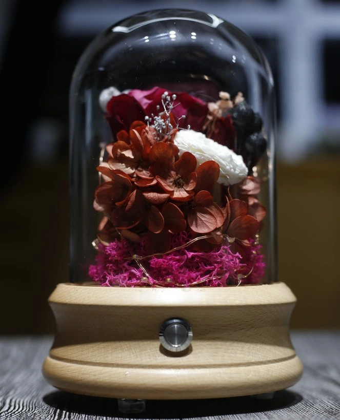 2018 Regalo de Navidad calientes duraderos conservan rosas flor preservada en la cúpula de vidrio con luz LED y la caja de música