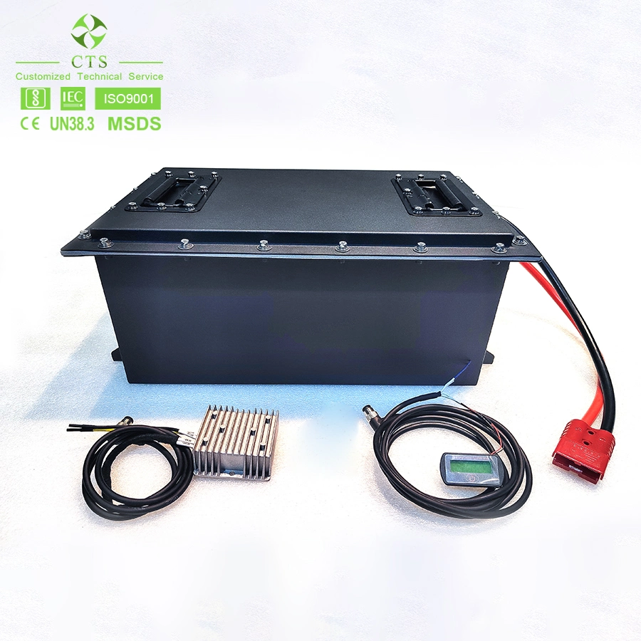 Customized 48V 160ah 80ah Lithium Ion Battery Small Size LiFePO4 Battery 48V 36V Golf Cart Power Lithium Ion Battery