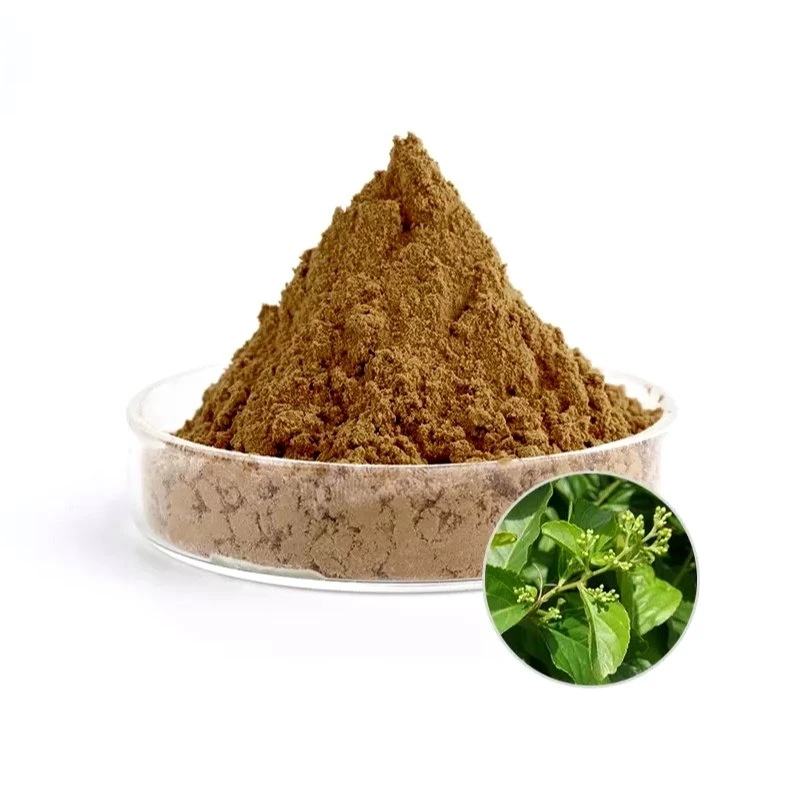 Traditional Chinese Medicine Tripterygium Wilfordii Extract Powder